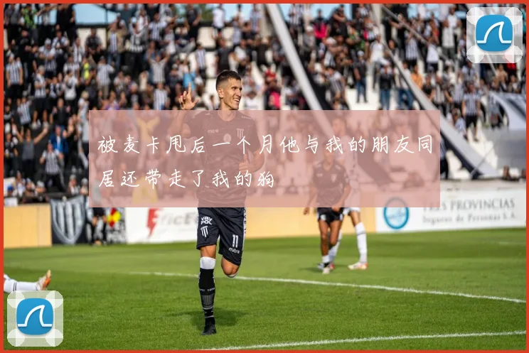 被麦卡甩后一个月他与我的朋友同居还带走了我的狗
