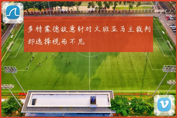 多特蒙德故意针对文班亚马主裁判却选择视而不见