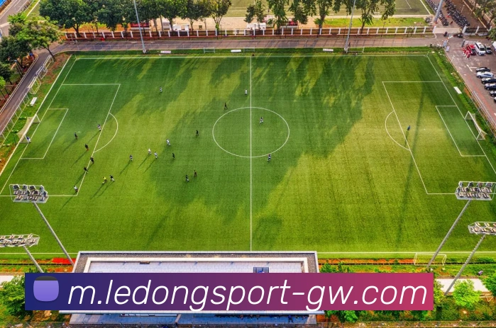 App Interface Preview