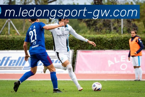 乐动体育APP 封面图